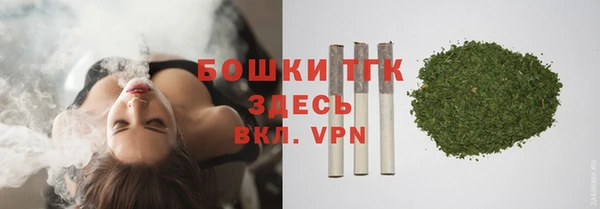 бошки Алексин
