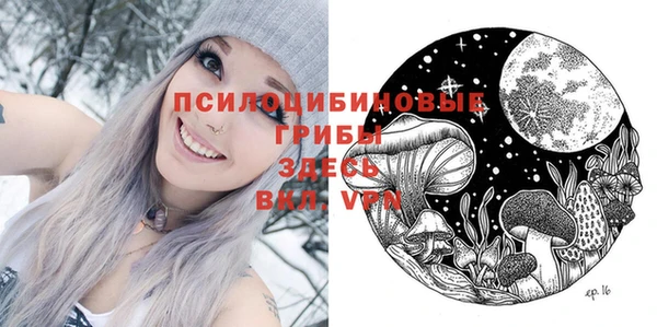 бошки Алексин
