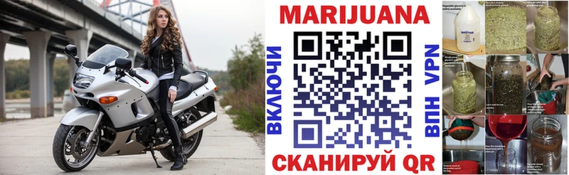 Конопля OG Kush  Алексеевка 